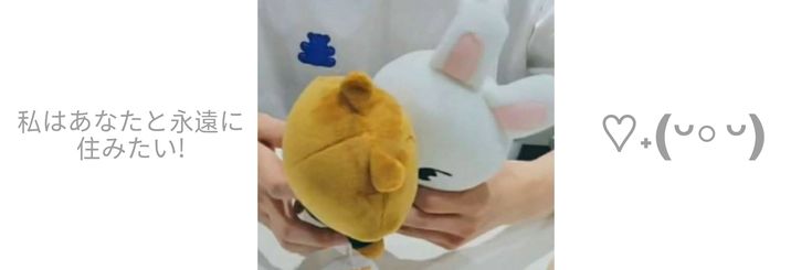 luca ˙𐃷˙ banner