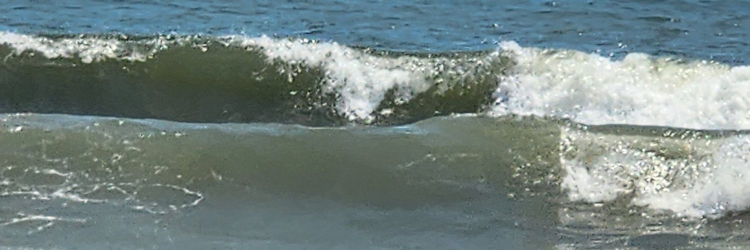 EvieB53's profile banner image