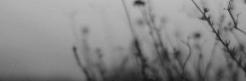 FeonaVerma's profile banner image
