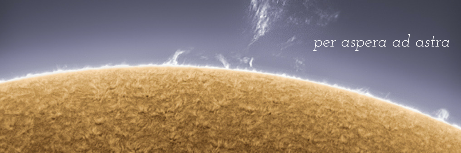 d_e_s_p_i's profile banner image