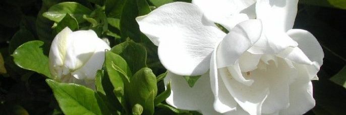Je_cki_ta's profile banner image
