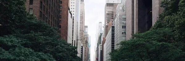 Andres_Dacr's profile banner image