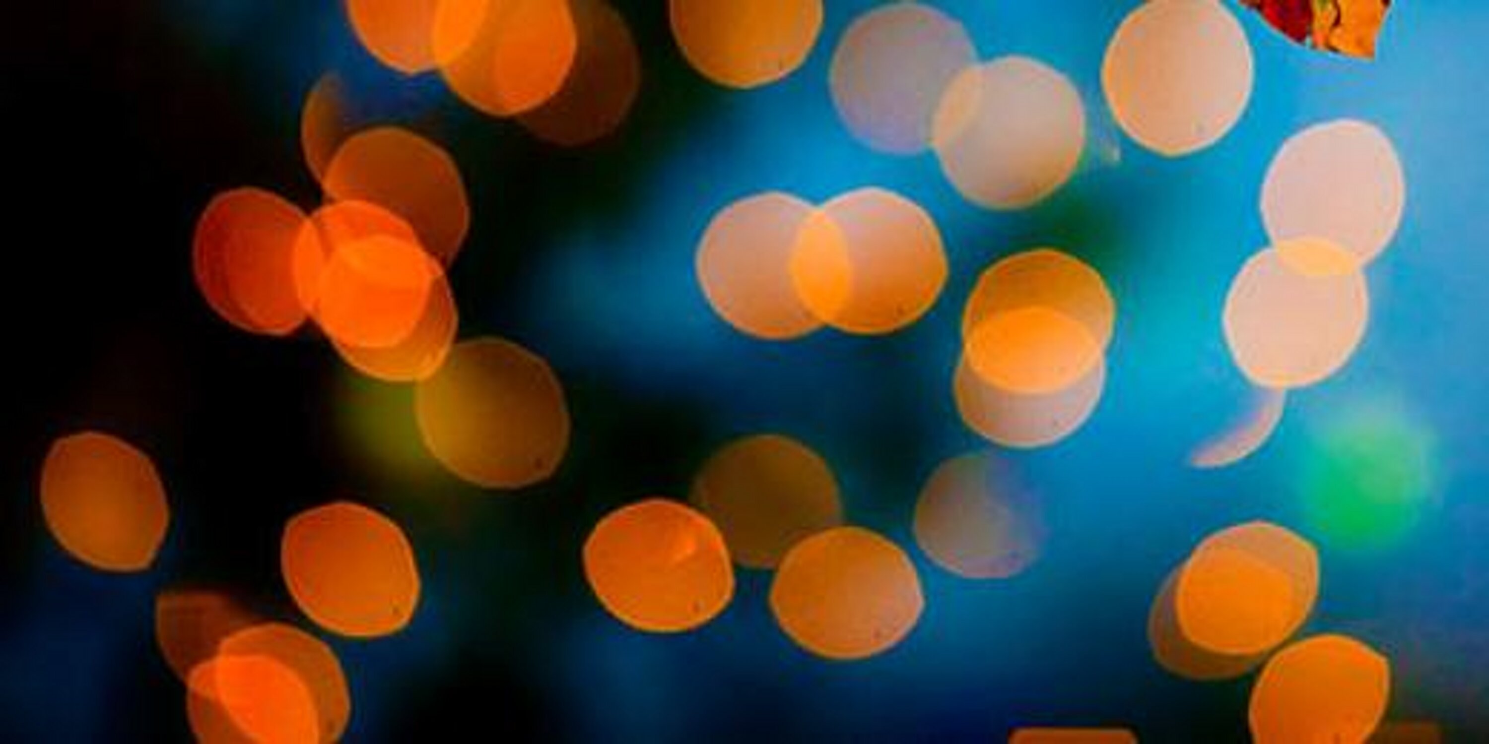antorizzotto's profile banner image