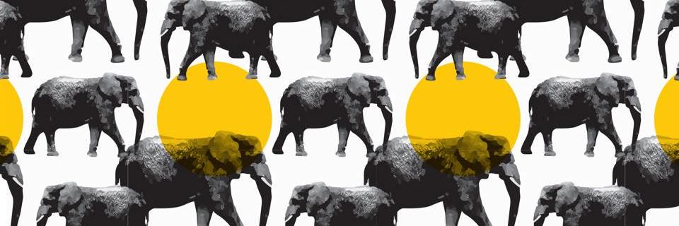 Beeizstelzer's profile banner image