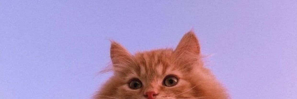Izzaistic's profile banner image