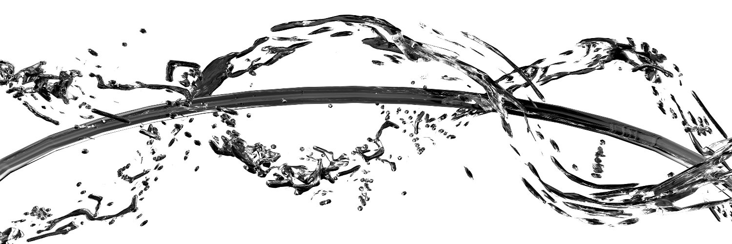 chickee29's profile banner image