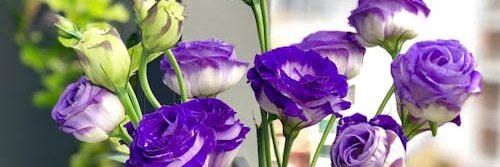 cissy3426's profile banner image