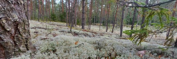 strashnobabocka Profile Banner