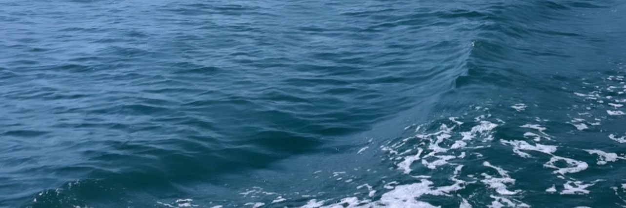 Millie banner
