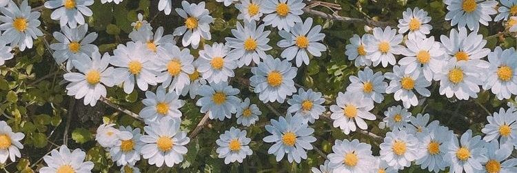 1991mod's profile banner image