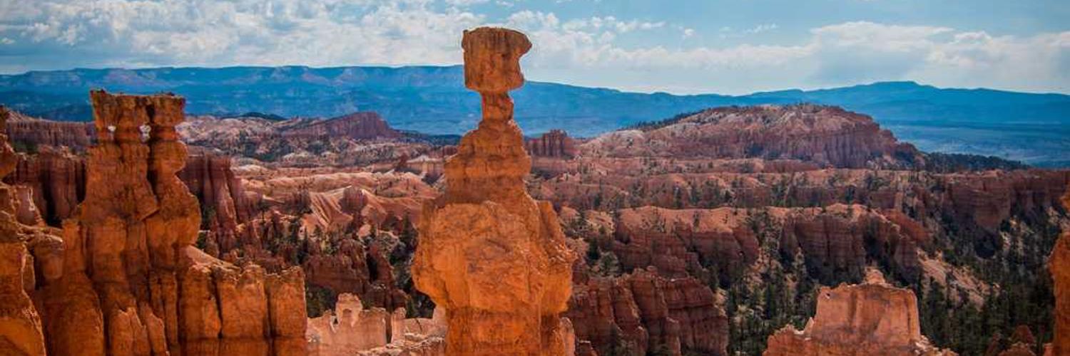 agustin❤️ Memecoin banner