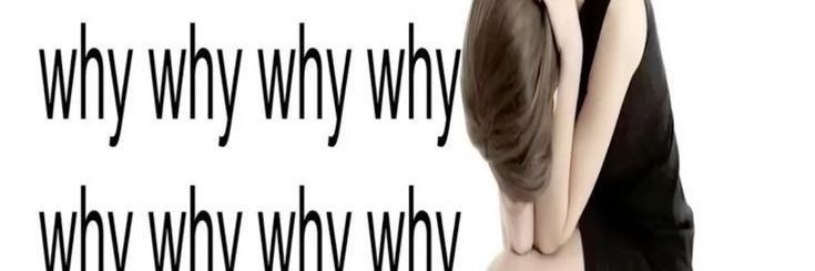 chichmp's profile banner image