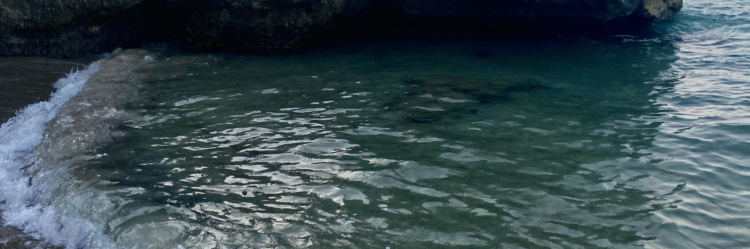 🌝 banner