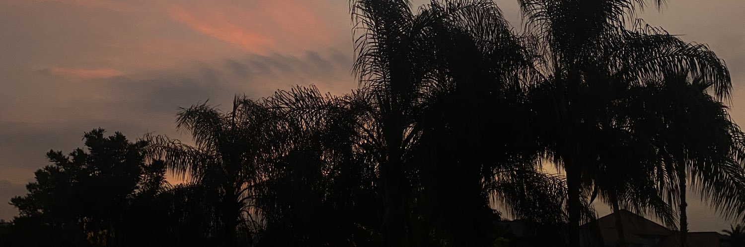 beatrizulloam's profile banner image