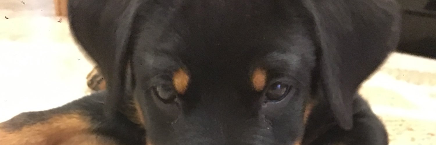 jodeevolk's profile banner image