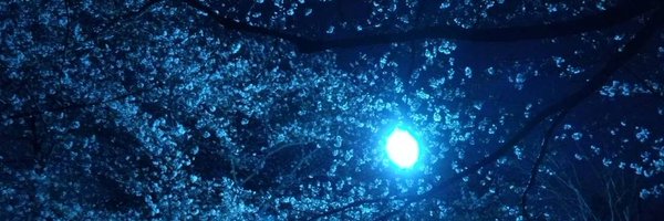 Mattun2008 Profile Banner