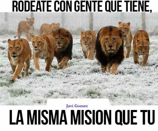 de los 80 banner