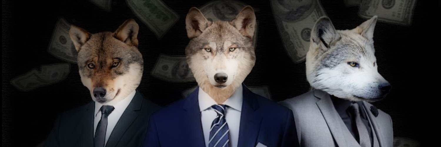 Draco_ThS's profile banner image