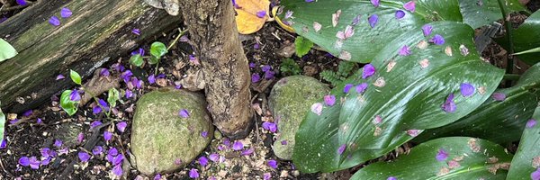 jasmin_abdelg Profile Banner