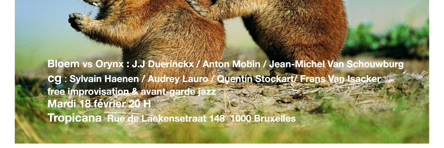 J-M Van Schouwburg banner