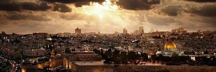 Sara Diaa Antiq 🇵🇸 banner