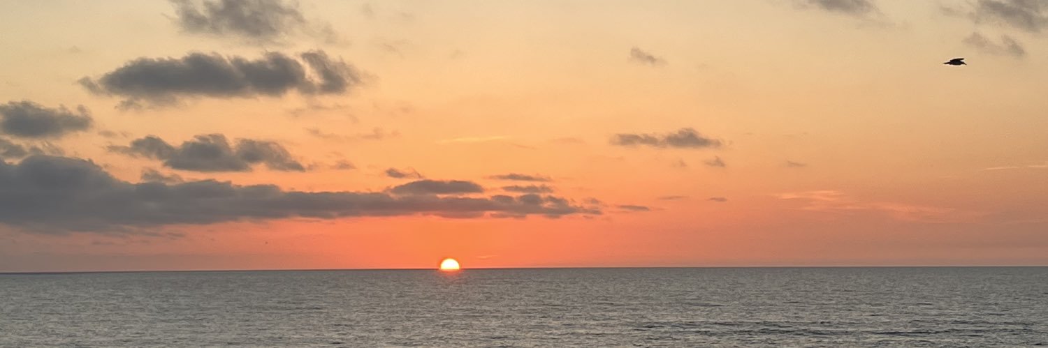 gommarcs's profile banner image