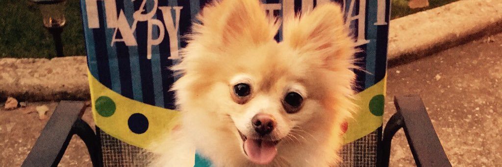 JessicaTHorton's profile banner image