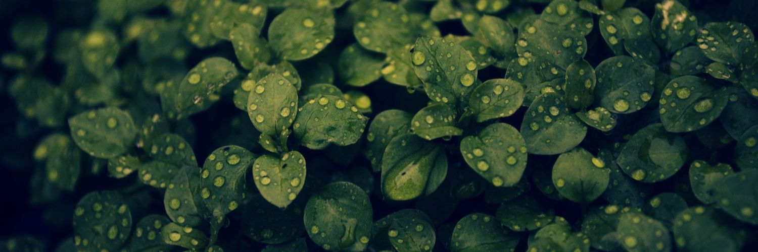 Jodida78_'s profile banner image