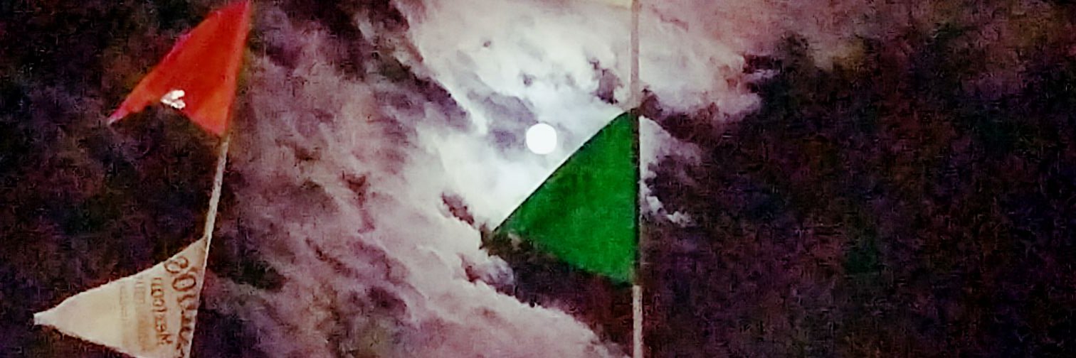 Miz_MA's profile banner image