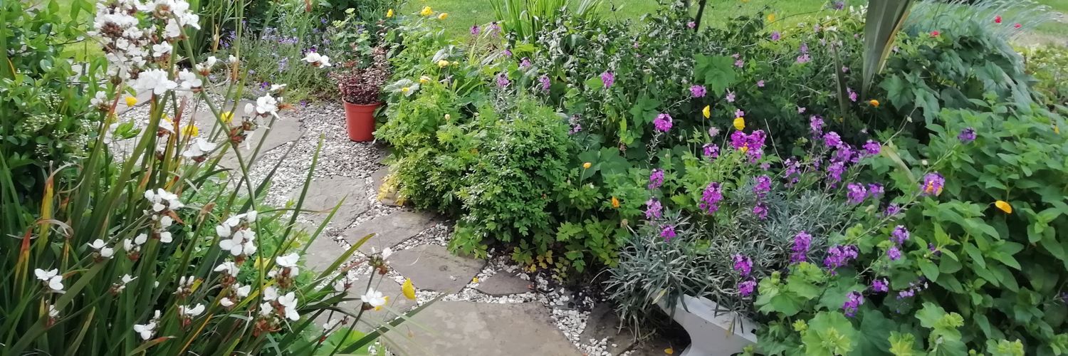 Dr Andrew Jackson banner