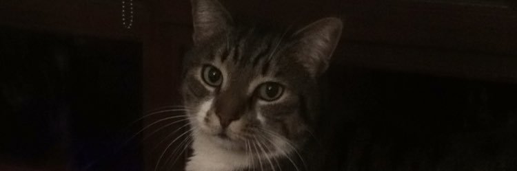 mknapl's profile banner image