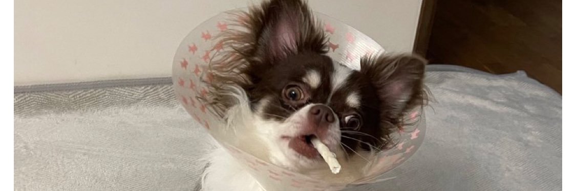 ぽ@港区OL褒めらにあん banner