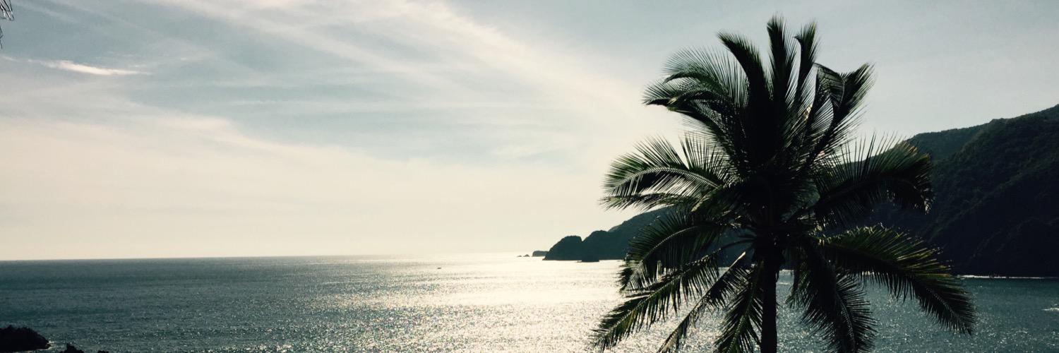 Chris Bishop ✌️😘🏳️‍🌈✊🏾 banner