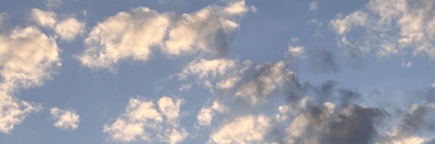 emberrootsETH's profile banner image