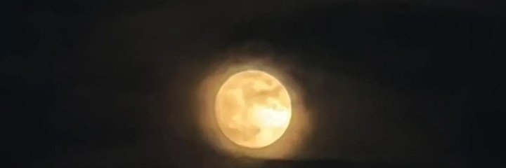 Ganne Ford banner