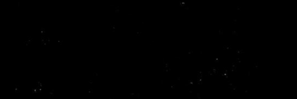 𝙏𝙃𝘼𝙏𝙎𝘼𝙋𝙍𝙊𝙈𝙄𝙎𝙀 — ! ! banner