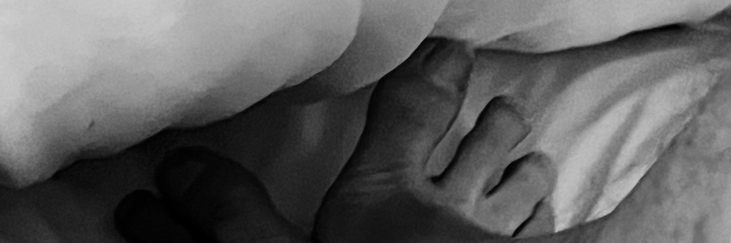 showthedaddy's profile banner image