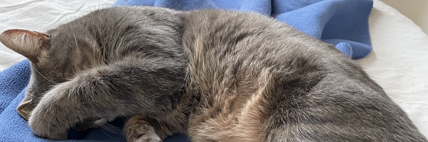 Léo le rigolo banner