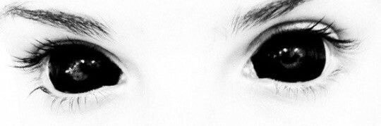 vicetamine's profile banner image