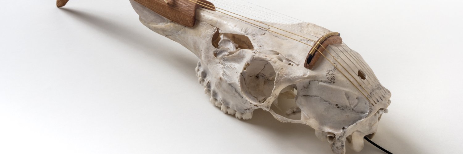 fridmangallery banner