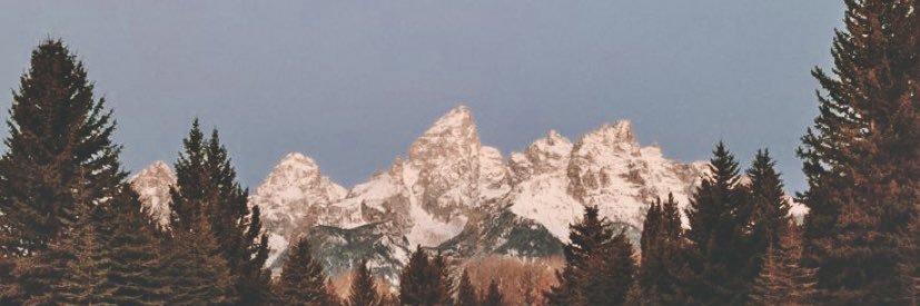 RyleighReynold1's profile banner image