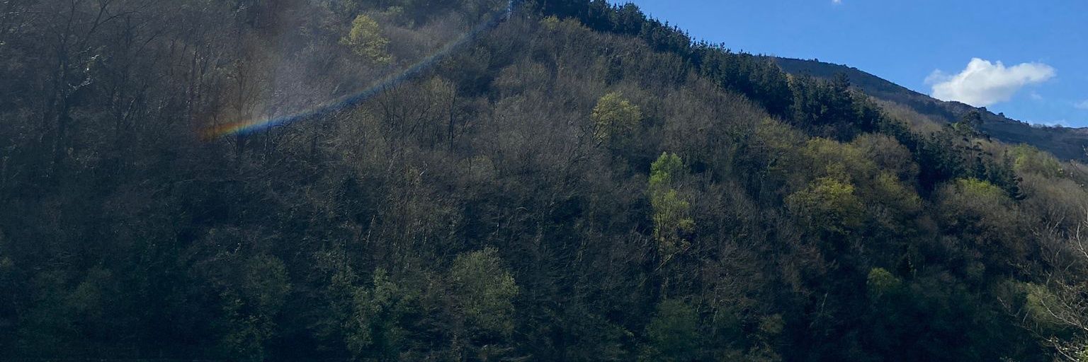 aichusa_'s profile banner image
