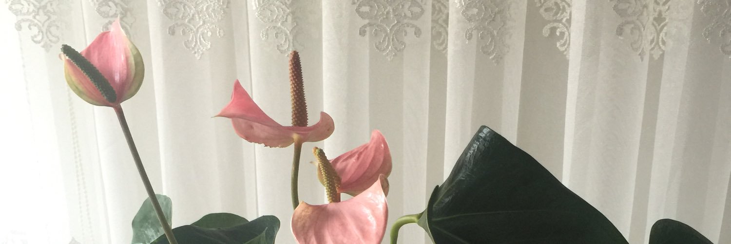 Magduru31's profile banner image
