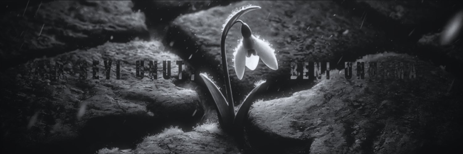 dmlzede's profile banner image