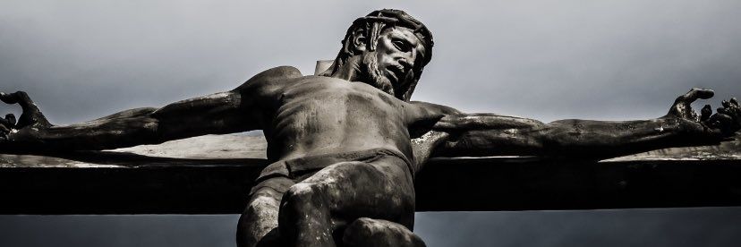 milohalcon's profile banner image