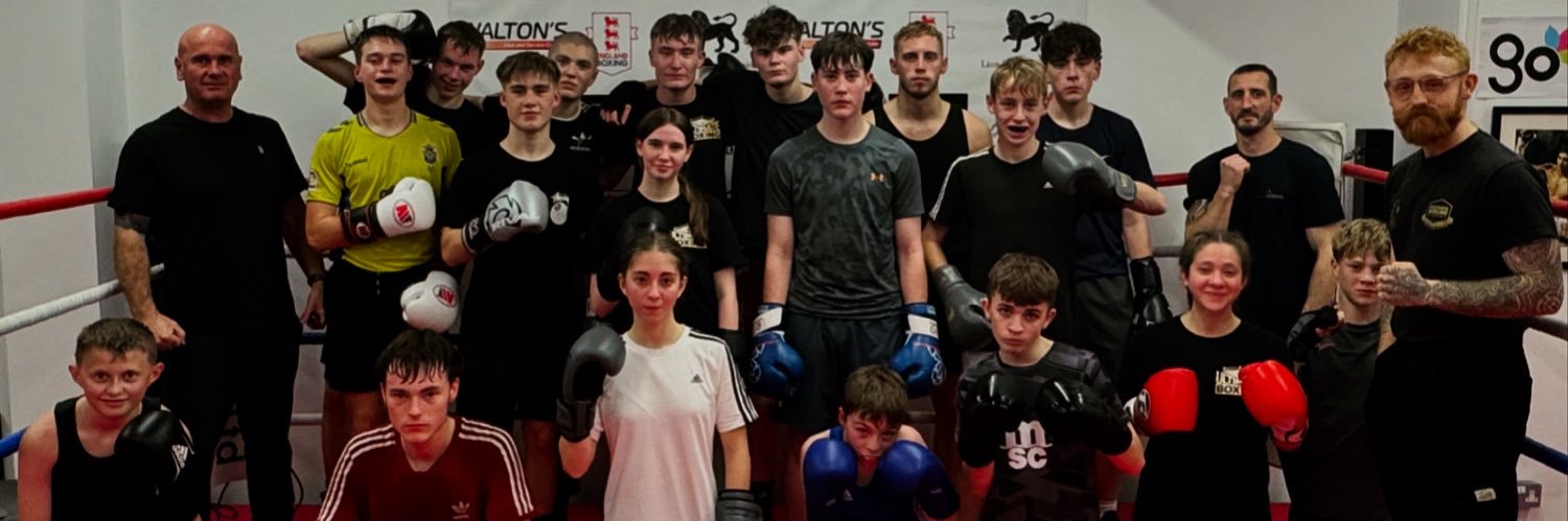 Ultimate Boxing banner