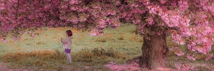 فاطِمـه‌شین banner