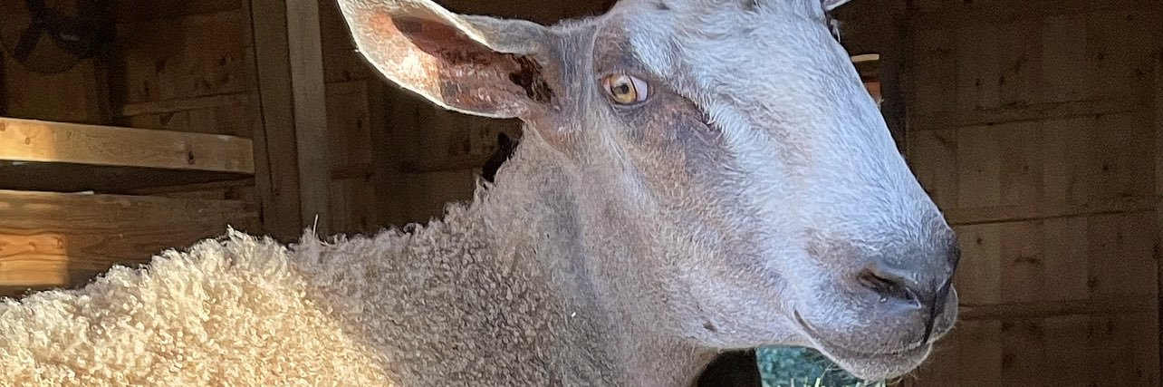 FarmLancaster's profile banner image