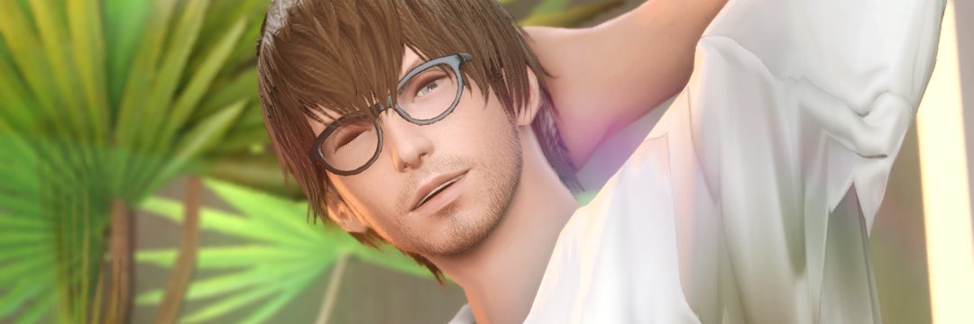 Boss♂Light banner