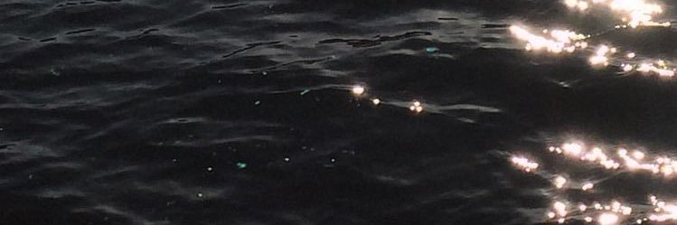 غاية 🤍 banner